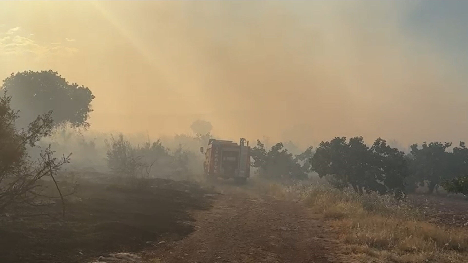 6 ilde orman yangını! Müdahaleler sürüyor, yerleşim yerleri risk altında Pek çok ilde orman yangını! Yerleşim yerleri risk altında - 2. Resim