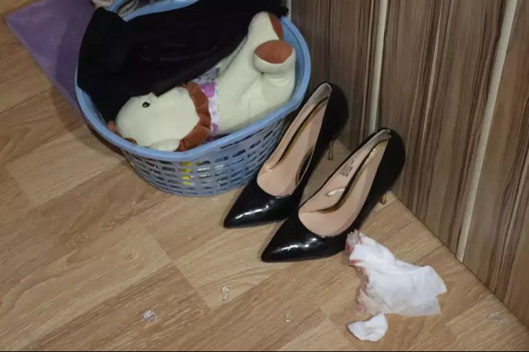 Süpürgeyle dövüp pencereden atarak öldürdü! Zerin Kılınç davasında savcı çileden çıktı - 2. Resim