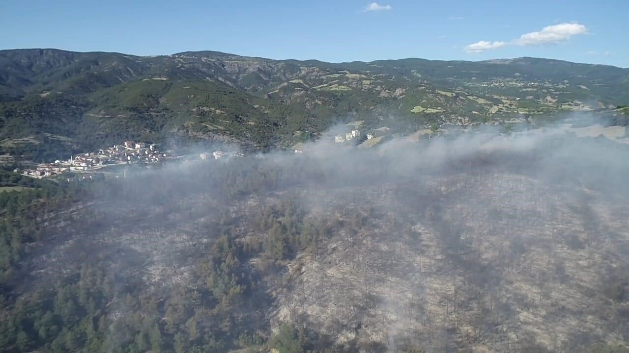 Tokat'ta korkutan orman yangını! Ekipler seferber oldu - 2. Resim