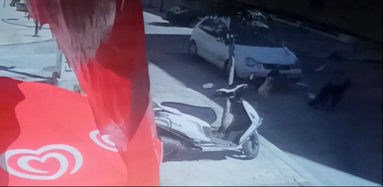 Antalya'daki kaza y&uuml;rekleri ağza getirdi! Anne ve 2 &ccedil;ocuğu &ouml;l&uuml;mden d&ouml;nd&uuml; - 1. Resim