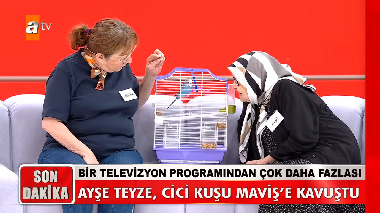 Kim Milyoner Olmak İster'de terleten 'Müge Anlı' sorusu! Yarışmacı cevaplamakta zorlandı Kim Milyoner Olmak İster'de terleten 'Müge Anlı' sorusu! Yarışmacı cevaplamakta zorlandı - 2. Resim