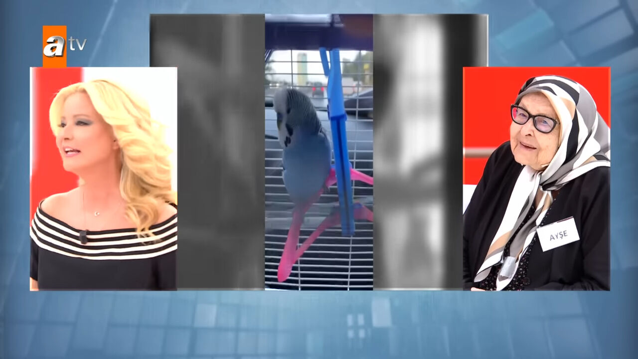 Kim Milyoner Olmak İster'de terleten 'Müge Anlı' sorusu! Yarışmacı cevaplamakta zorlandı Kim Milyoner Olmak İster'de terleten 'Müge Anlı' sorusu! Yarışmacı cevaplamakta zorlandı - 1. Resim