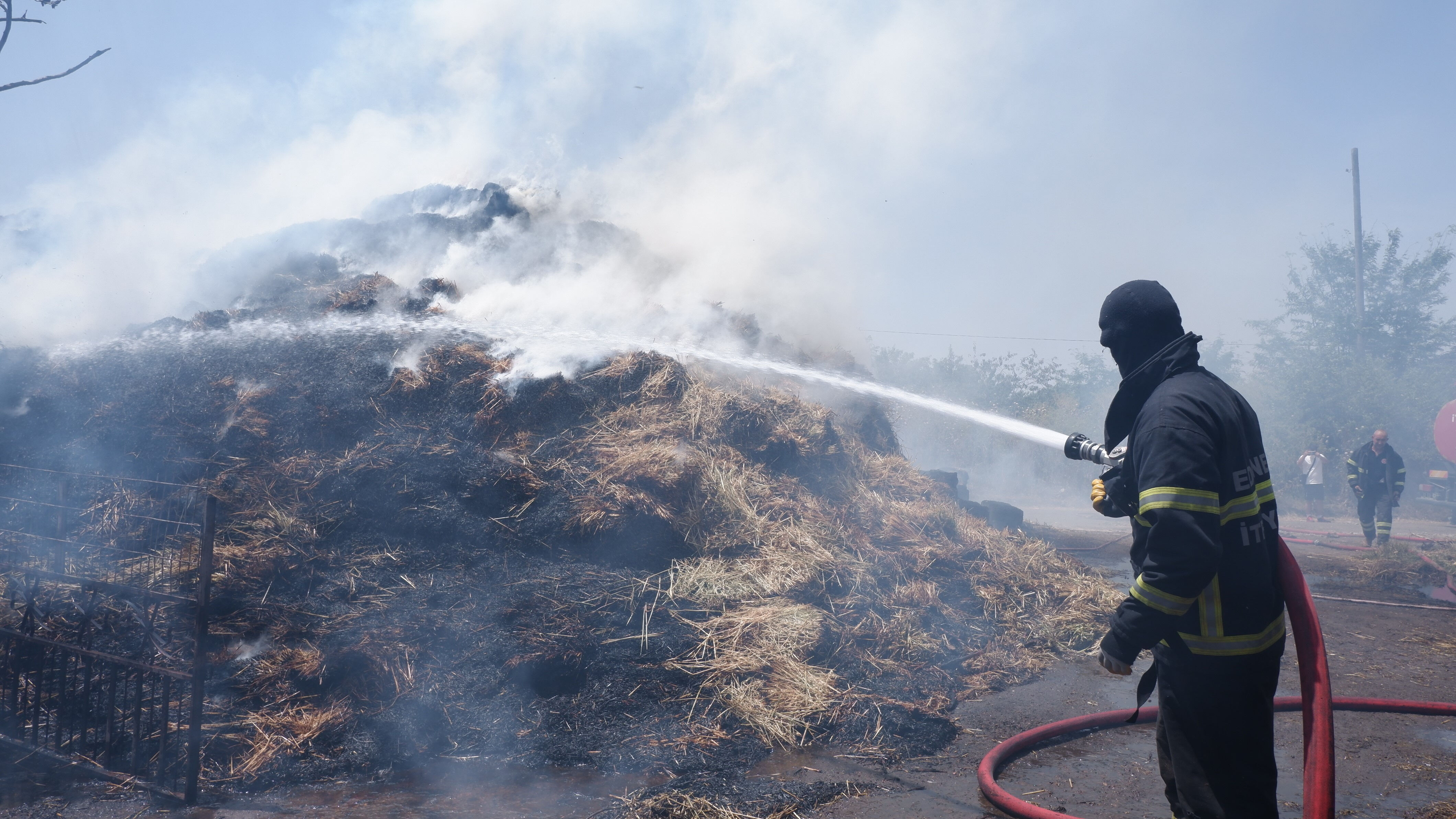 Hayvanları kurtarmak için canı pahasına alevlerin ortasına daldı - 3. Resim