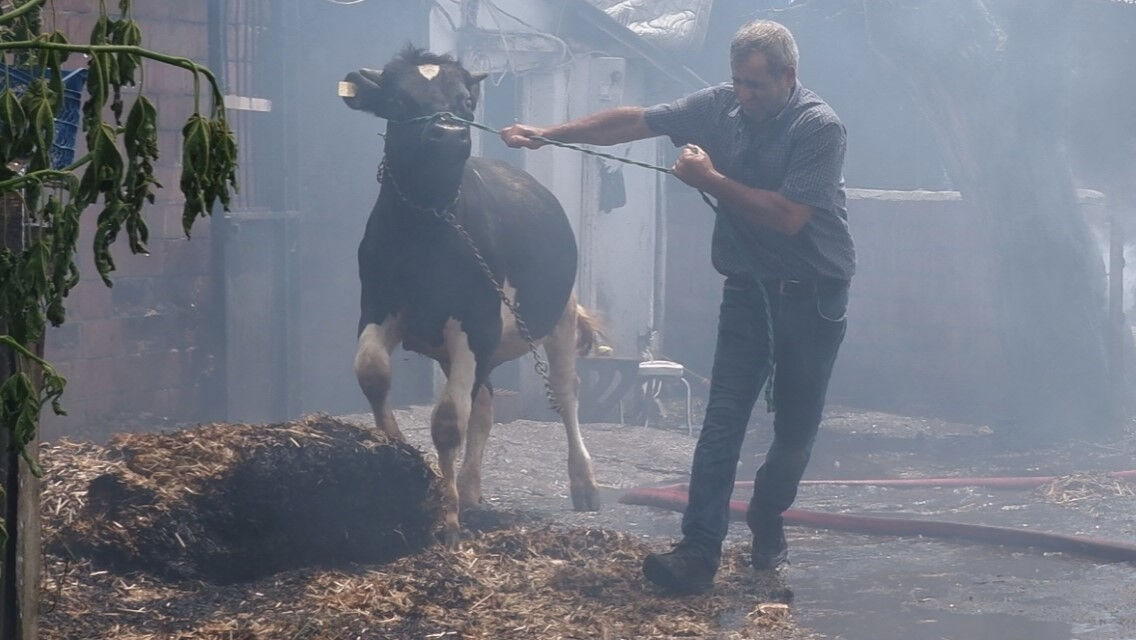 Hayvanları kurtarmak için canı pahasına alevlerin ortasına daldı - 1. Resim