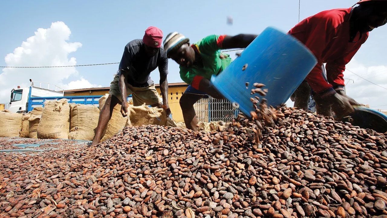 Gana'dan gelen arz haberleri kakaonun fiyatını yeniden 10 bin dolar yaptı - Ekonomi