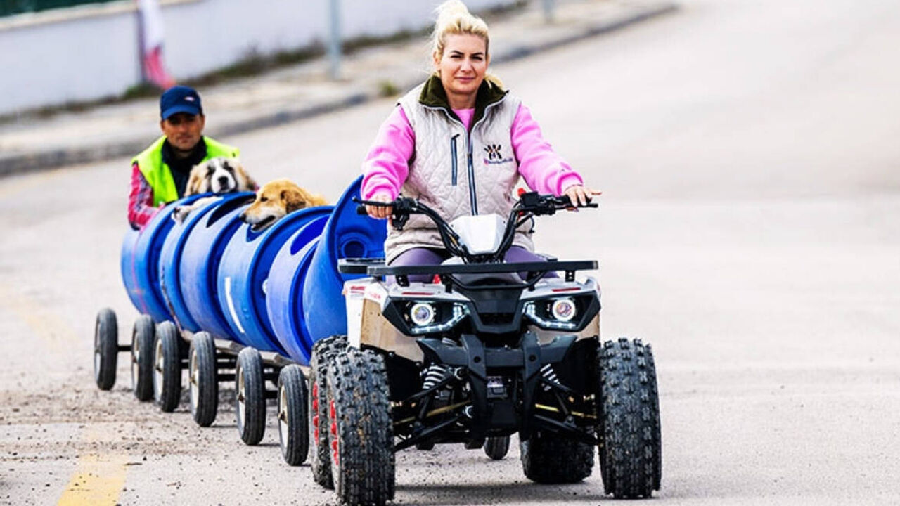Köpekler bahane zenginlik şahane! Buket Özgünlü'nün kasiyerlikten patronluğa uzanışı... Köpekler bahane zenginlik şahane! Buket Özgünlü'nün kasiyerlikten patronluğa uzanışı... - 1. Resim