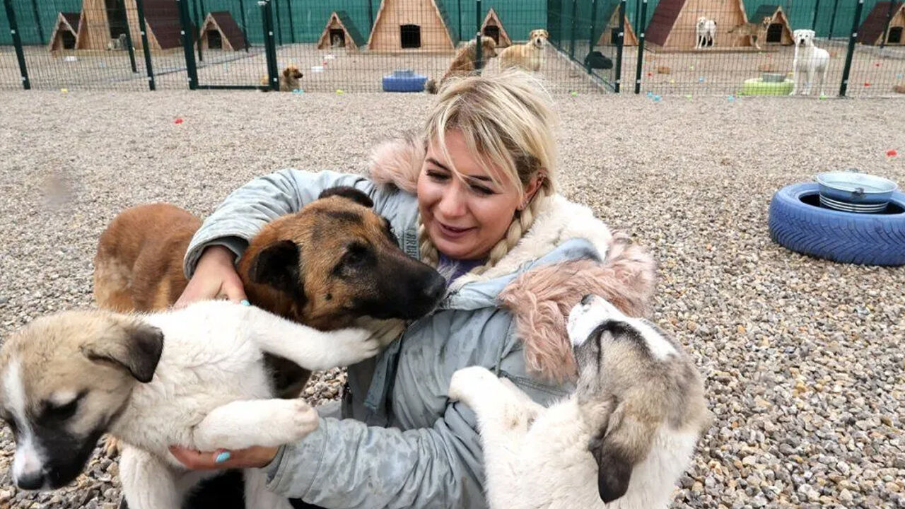 Kuduz riski taşıyan köpekleri Ankara'ya getiren Buket Özgünlü ve şoför hakkında dava açıldı Kuduz riski taşıyan köpekleri Ankara'ya getiren Buket Özgünlü ve şoförü hakkında dava açıldı - 2. Resim