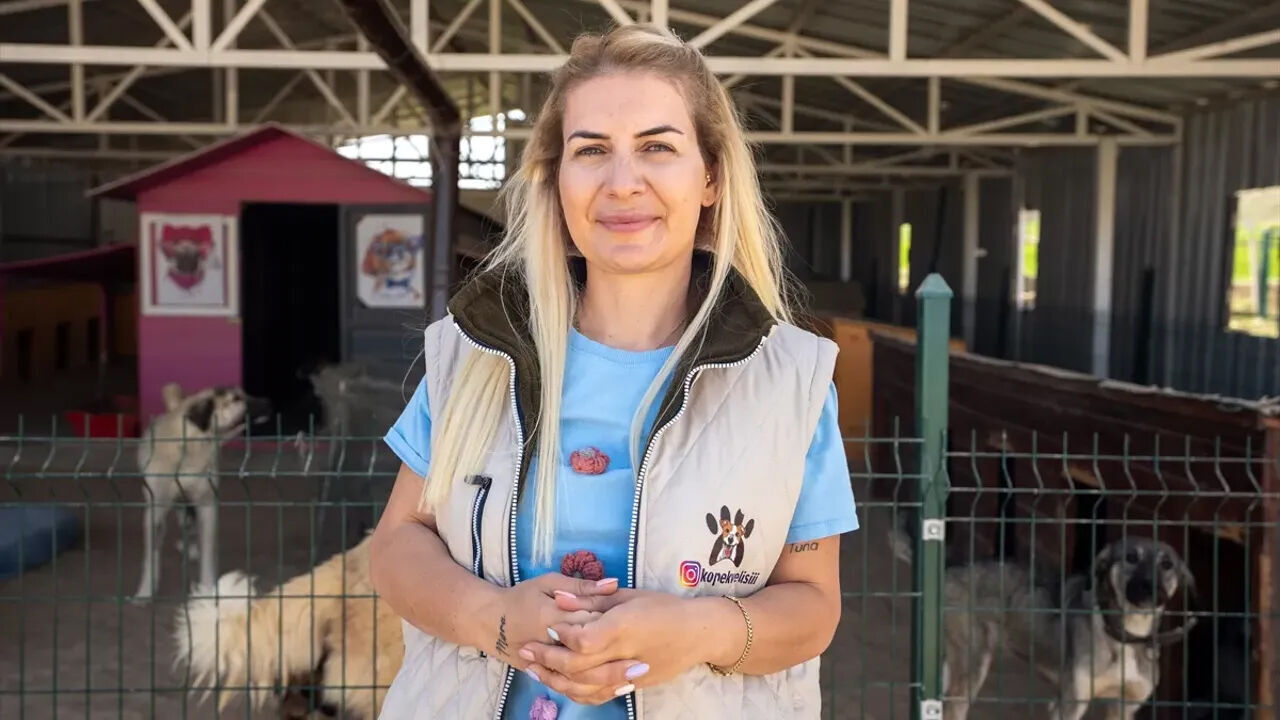 Kuduz riski taşıyan köpekleri Ankara'ya getiren Buket Özgünlü ve şoför hakkında dava açıldı Kuduz riski taşıyan köpekleri Ankara'ya getiren Buket Özgünlü ve şoförü hakkında dava açıldı - 1. Resim