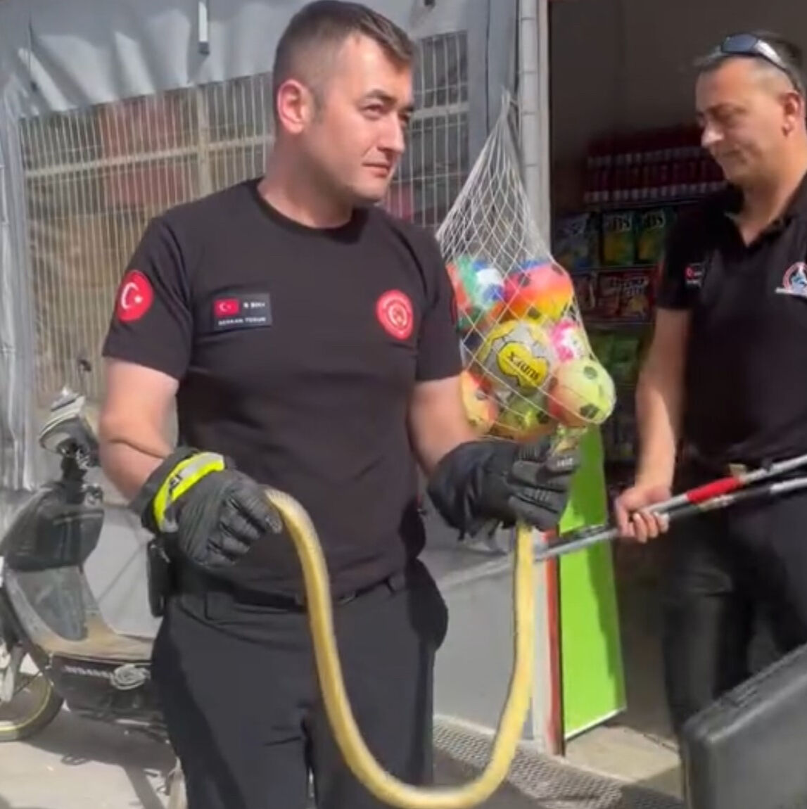 Markette yılan paniği! Görür görmez ekiplere haber verdiler Markette yılan paniği! Görür görmez ekiplere haber verdiler - 1. Resim