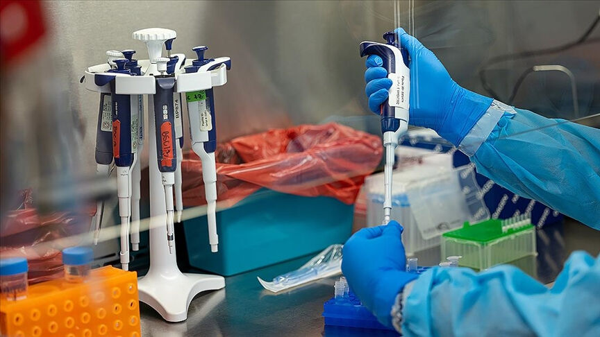 Mpox olarak adlandırılan maymun çiçeği virüsünden ilk ölümler kayıtlara geçti Mpox olarak adlandırılan maymun çiçeği virüsünden ilk ölümler kayıtlara geçti - 4. Resim