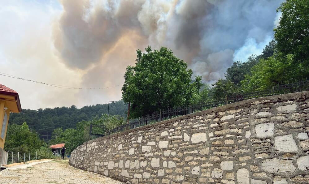 Milas'ta 48 hektar alan küle döndü Milas'ta çıkan rüzgarın etkisiyle yangın büyüyerek yayılıyor - 2. Resim