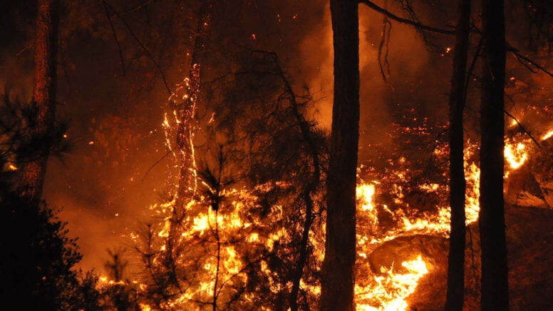 PKK talimatıyla Adana'da orman yakan zanlı şimdi de koğuşunu ateşe verdi PKK talimatıyla Adana'da orman yakan zanlı şimdi de koğuşunu ateşe verdi - 1. Resim