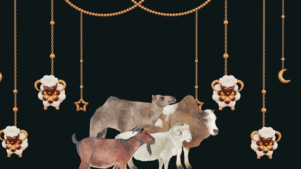 Trendyol Express kargo bayramda resmi tatil sebebiyle çalışmıyor Trendyol Express kargo bayramda resmi tatil sebebiyle çalışmıyor - 2. Resim