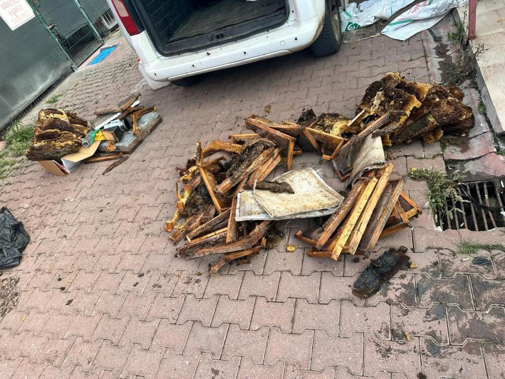 Adana'da yakalanan torbacıların 'kraliçe arı' bahanesi polisleri bile şaşırttı - 2. Resim