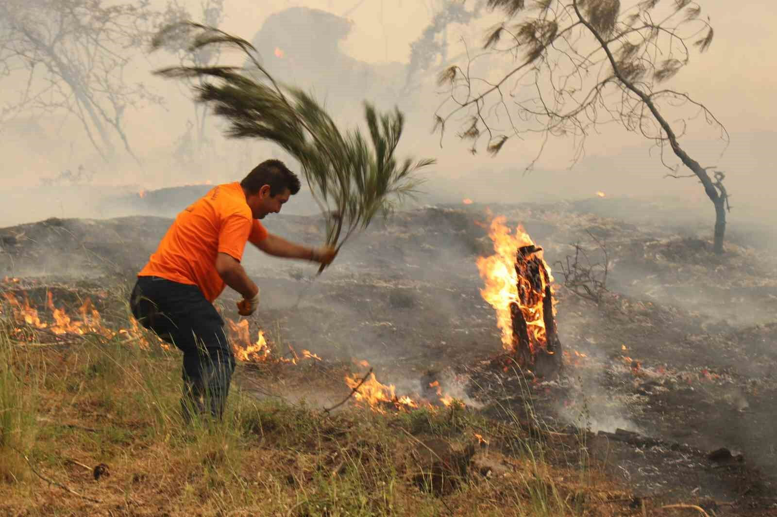 Denizli'de 7 il&ccedil;ede orman yangını! Facianın g&ouml;r&uuml;nt&uuml;leri y&uuml;rek sızlattı - 2. Resim