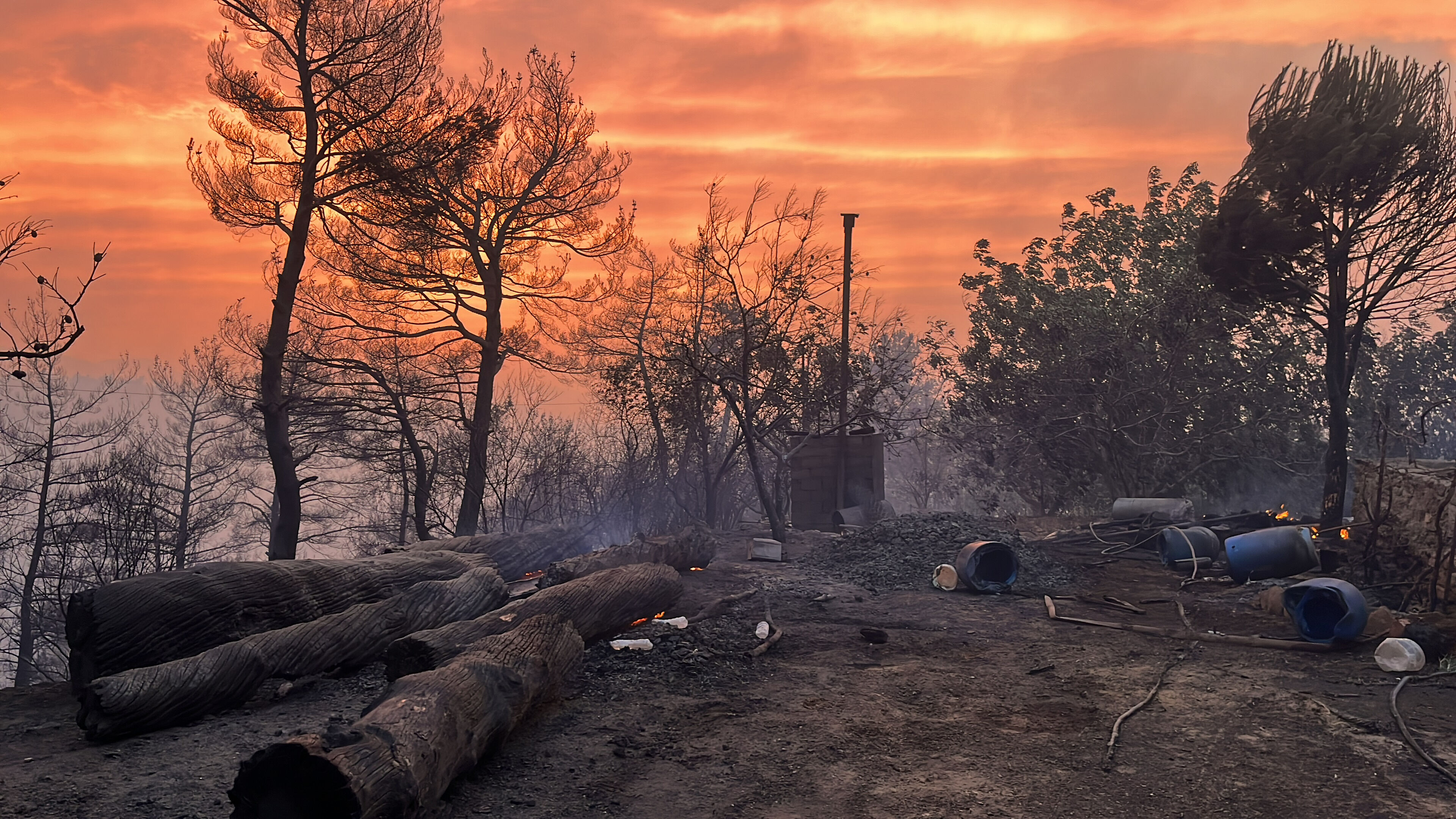 Denizli'de 7 il&ccedil;ede orman yangını! Facianın g&ouml;r&uuml;nt&uuml;leri y&uuml;rek sızlattı - 5. Resim