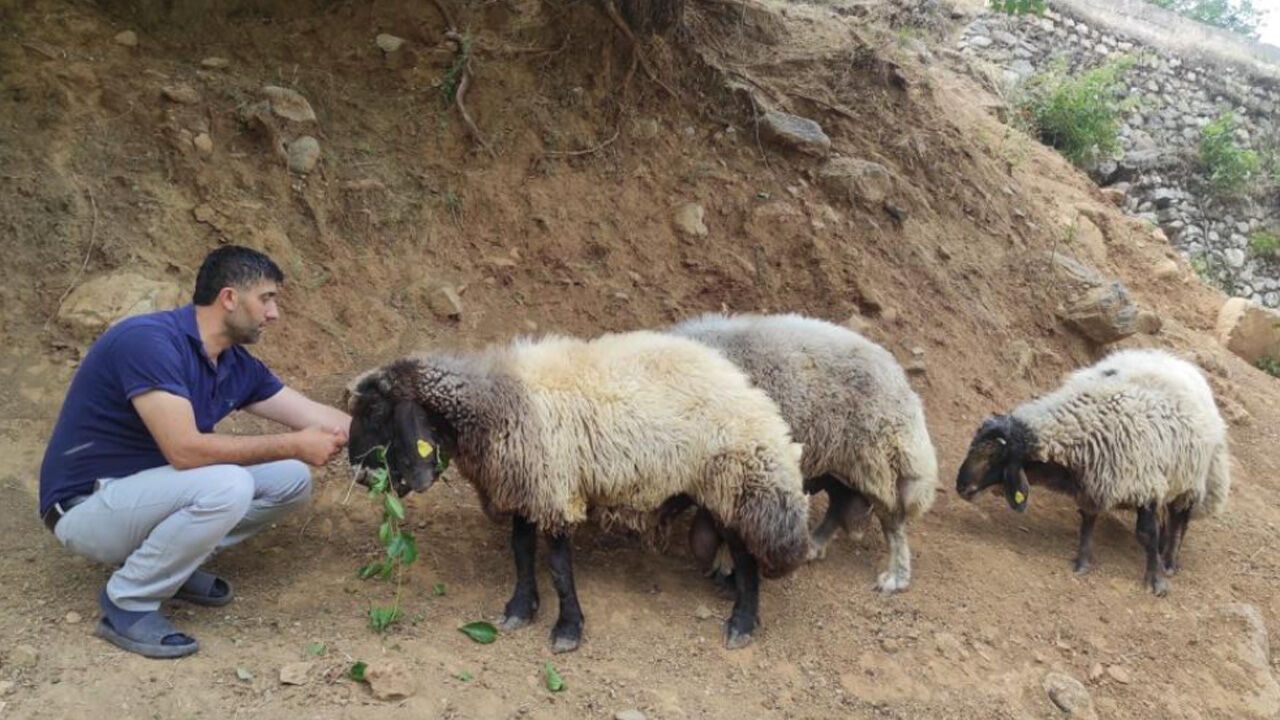 Batman'da arefe gecesi firar eden 3 ko&ccedil; 20 kilometre uzaklıkta ortaya &ccedil;ıktı - 1. Resim