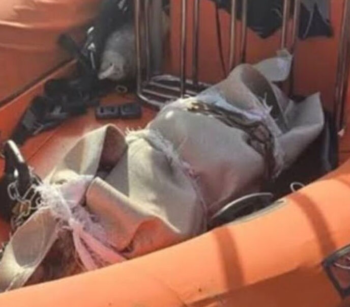 Denizde ayaklarına ağırlık bağlanmış halde bulunmuştu! Sedef Güler'in katili sınırda yakalandı - 1. Resim