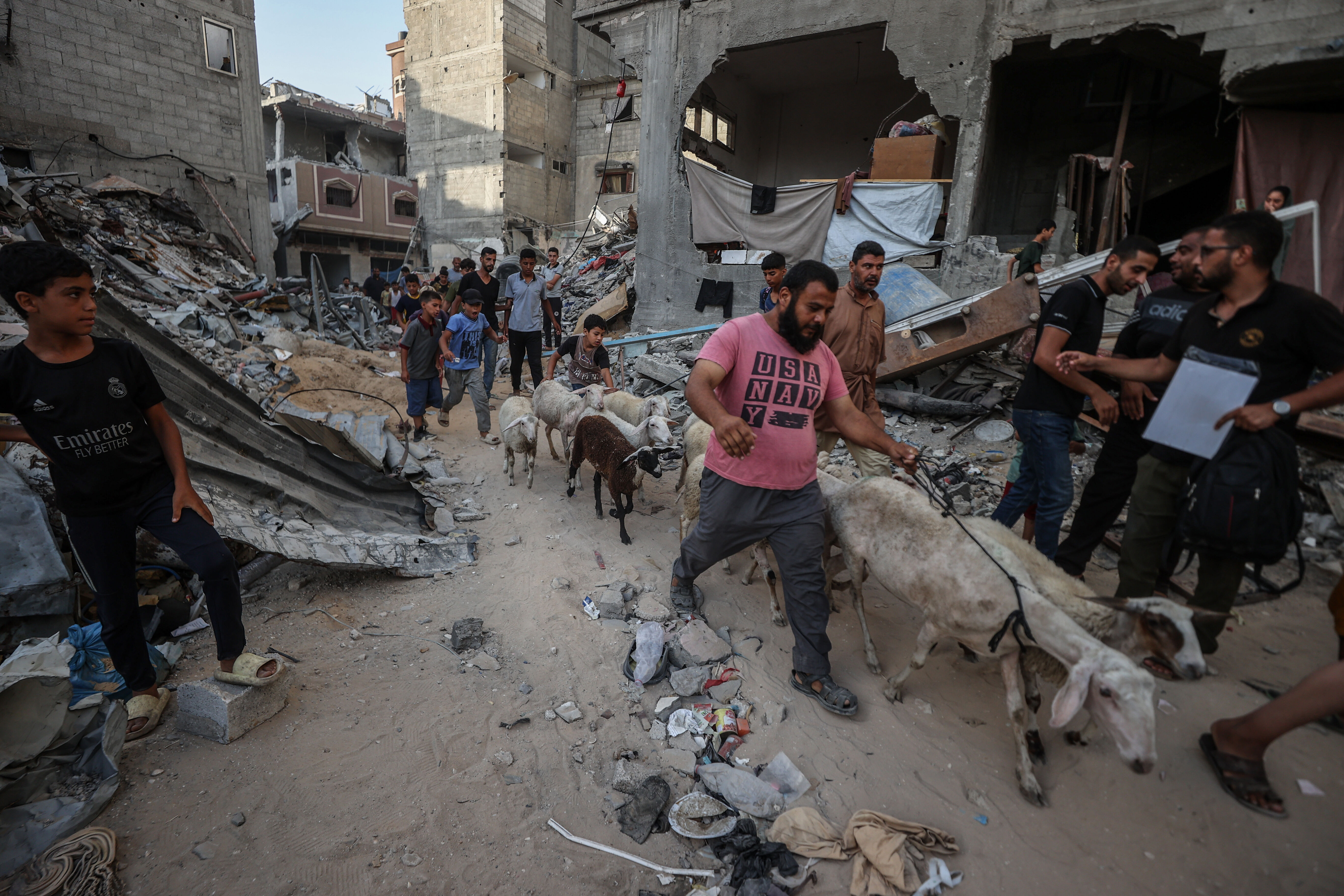 Fotoğraflarla Gazze'de Kurban Bayramı... Filistinliler enkaz üstünde kurbanlarını kesti - 6. Resim