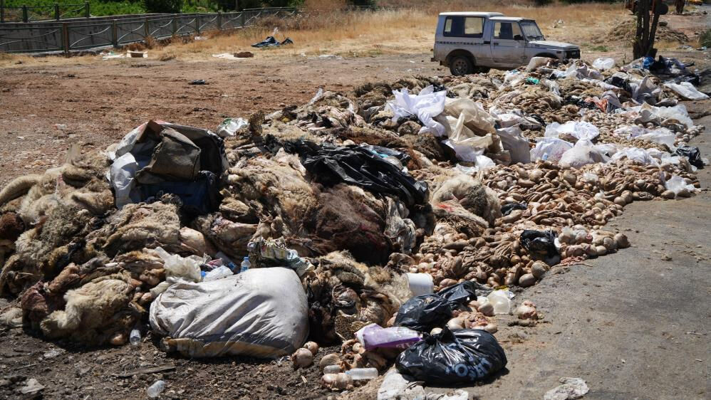 Gaziantep'te sokaklara atılan kurban artıkları hastalık tehlikesi saçıyor Gaziantep'te sokaklara atılan kurban artıkları hastalık tehlikesi saçıyor - 1. Resim