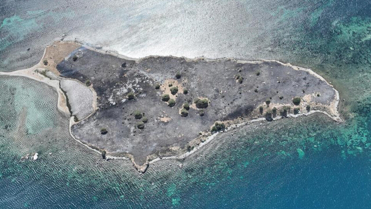 İzmir Seferihisar'daki yangından yürek sızlatan kareler... Çiçek Adası küle döndü - 3. Resim