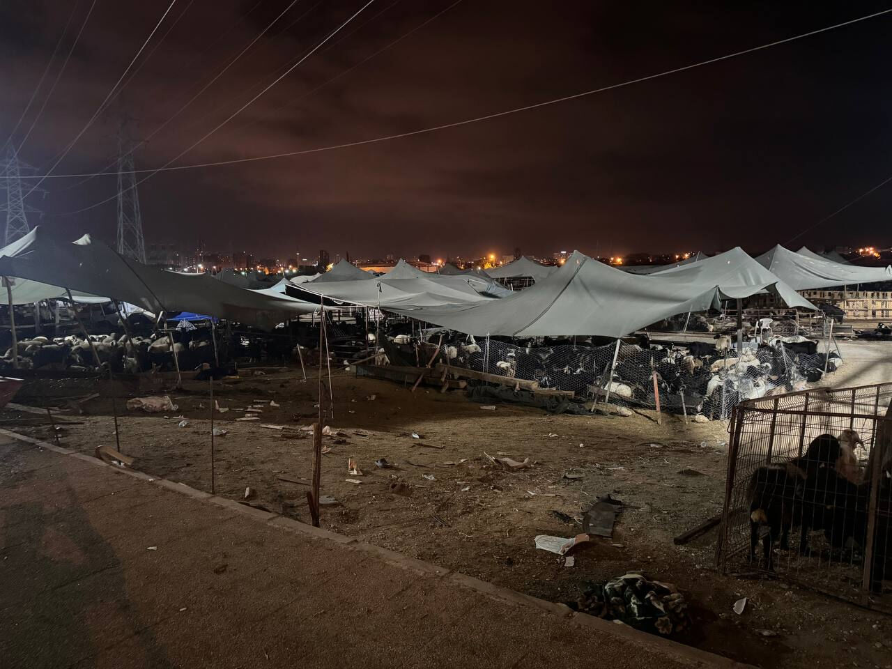 Mersin'de otomobil hayvan pazarına daldı, çok sayıda yaralı var - 1. Resim