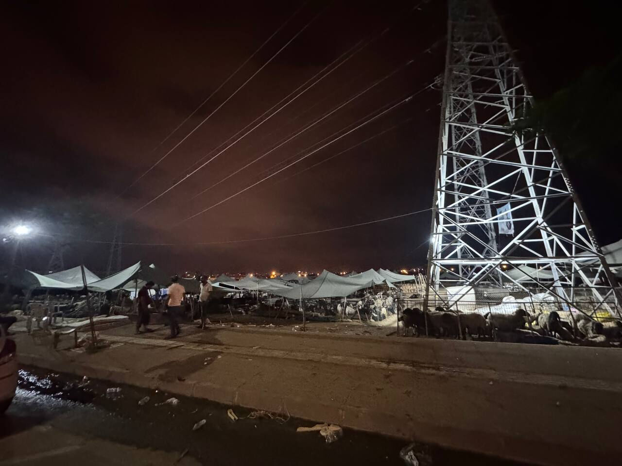 Mersin'de otomobil hayvan pazarına daldı, çok sayıda yaralı var - 2. Resim
