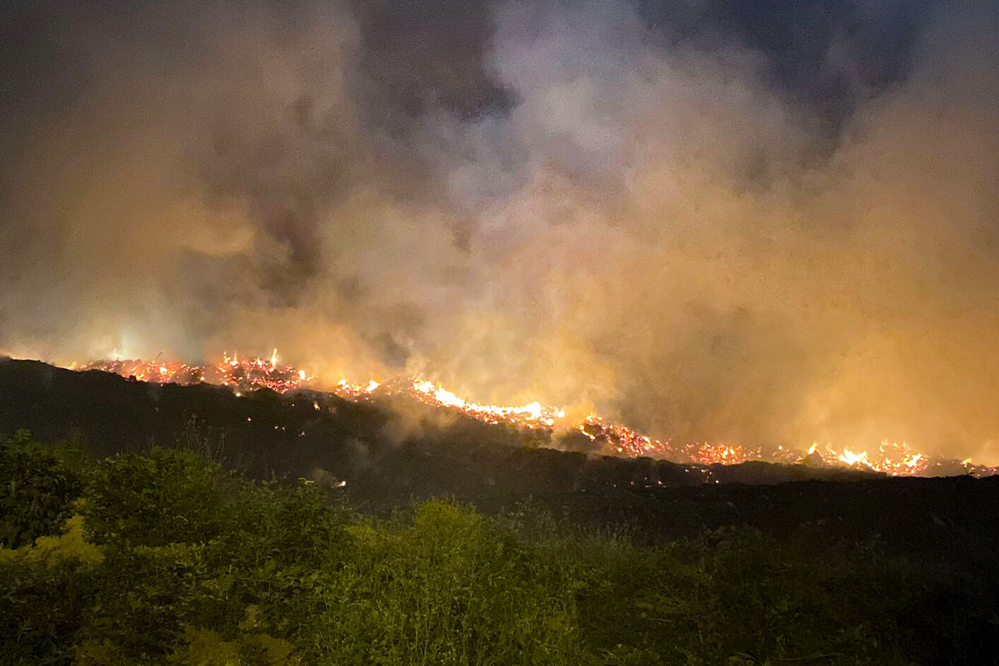 Sarıyer'deki otluk alanlarda peş peşe yangınlar! Biri söndü diğeri başladı, müdahaleler sürüyor Sarıyer'deki otluk alanlarda peş peşe yangınlar! Biri söndü diğeri başladı, müdahaleler sürüyor - 1. Resim