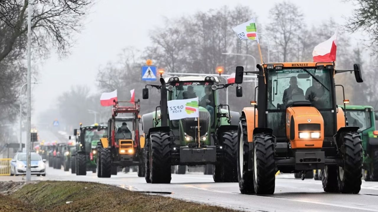 Polonyalı çiftçilerden akıl almaz hareket! Müslüman göçmenlere karşı domuz gübresi döktüler - Dünya