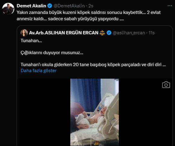 Başıboş köpeklerin saldırısına uğrayan Demet Akalın’ın kuzeni hayatını kaybetti Başıboş köpeklerin saldırısına uğrayan Demet Akalın’ın kuzeni hayatını kaybetti - 1. Resim