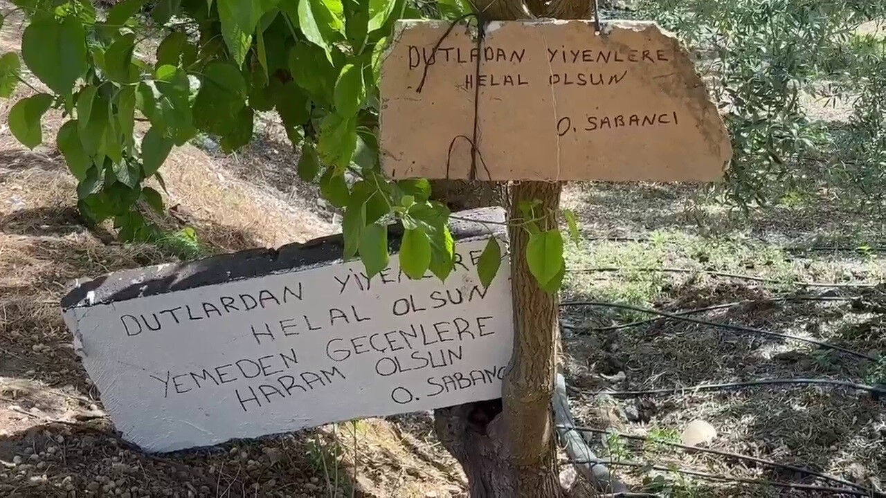 Dut ağacına astığı yazıyla "insanlık ölmemiş" dedirtti - 2. Resim