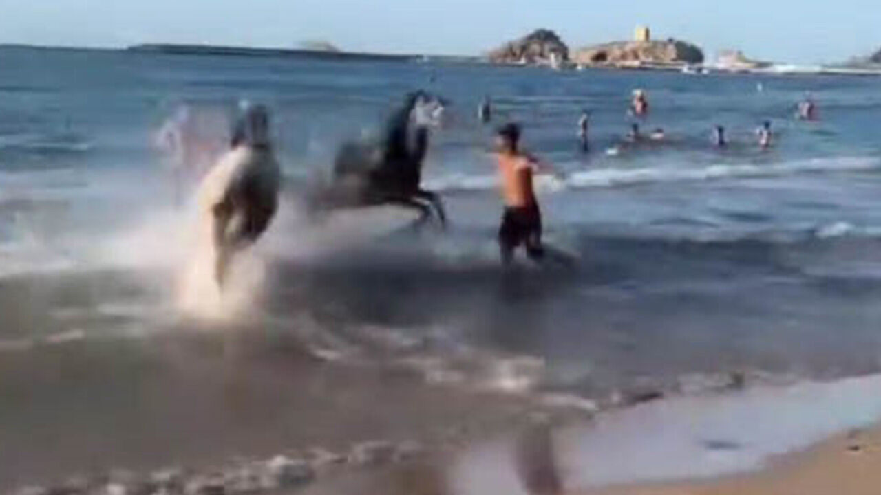 İnsanların arasına daldı! Şile plajına giren atlar ortalığı birbirine kattı - 1. Resim