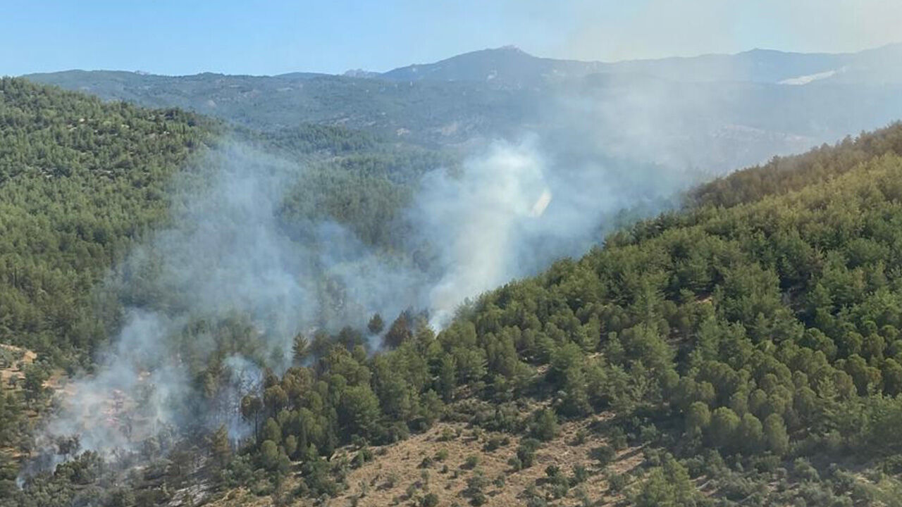Muğla, İzmir, Çanakkale ve Uşak'ta orman yangını! Havadan ve karadan müdahale ediliyor Muğla, İzmir, Çanakkale ve Uşak'ta orman yangını! Havadan ve karadan müdahale ediliyor - 1. Resim