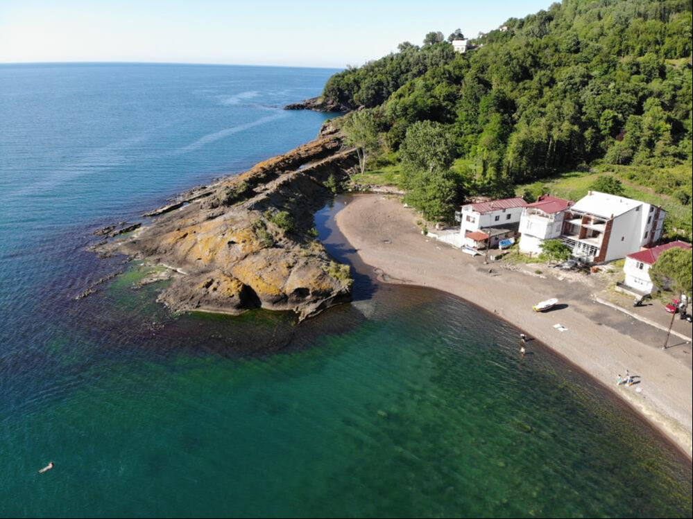 Ordu'daki Timsah Adası g&ouml;renleri şaşkına &ccedil;eviriyor, millet akın ediyor - 1. Resim