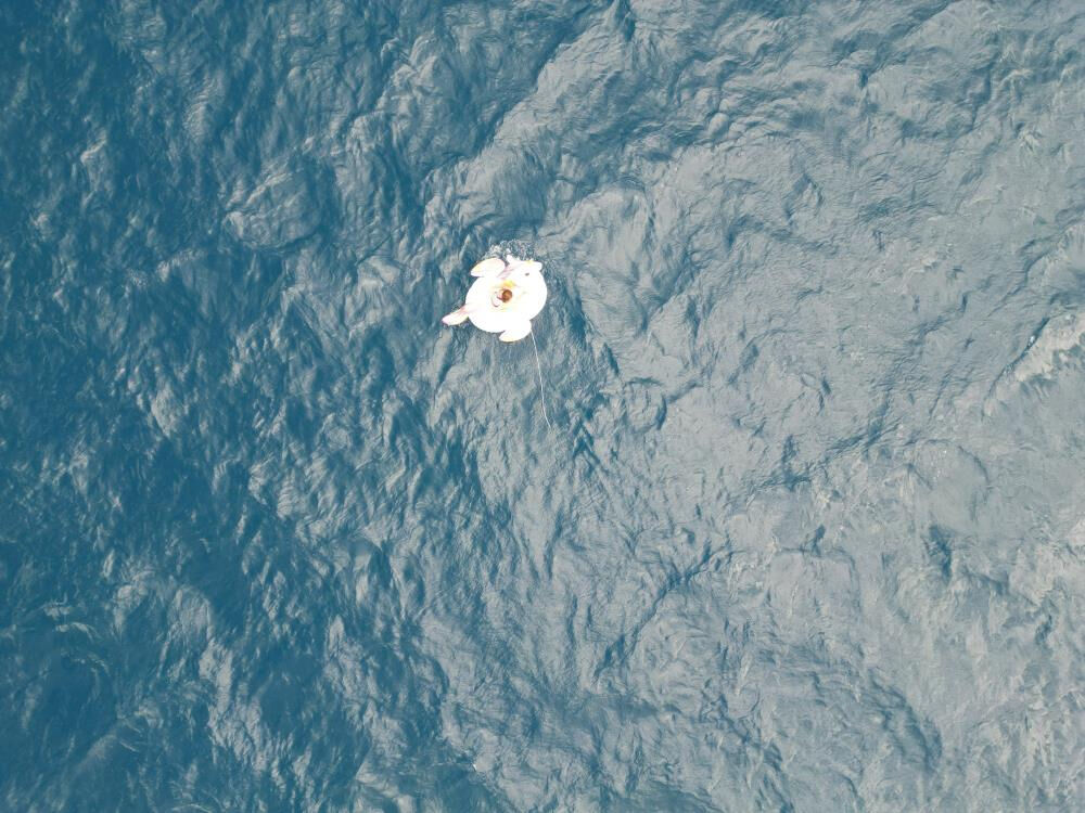 Salda Gölü'nde can pazarı! Küçük kızın bindiği şişme at sürüklendi... Salda Gölü'nde can pazarı! Küçük kızın bindiği şişme at sürüklendi... - 2. Resim