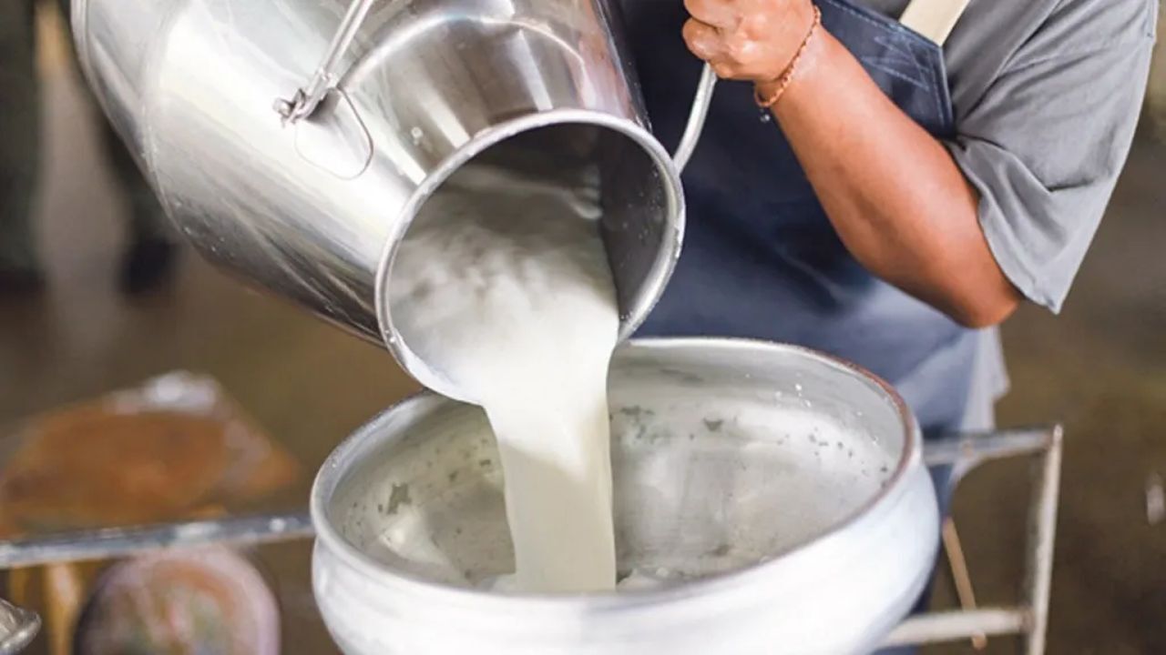 Süt fiyatı bayramda yüzde 50 düşürüldü! Üreticilerinden bakanlığa çağrı geldi