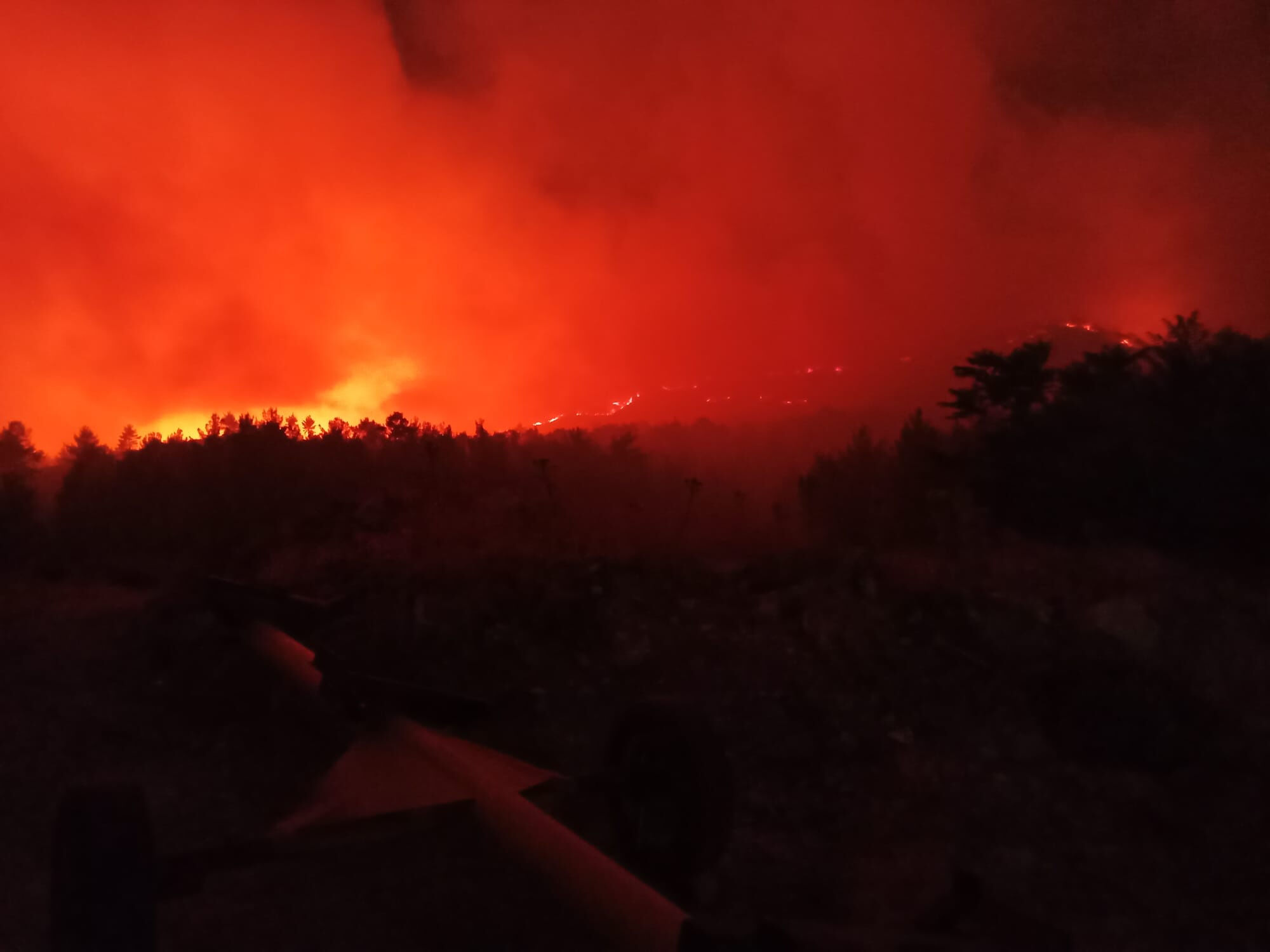 Uşak'ta çıkan orman yangınına müdahale sürüyor Uşak'ta çıkan orman yangınına müdahale sürüyor - 2. Resim