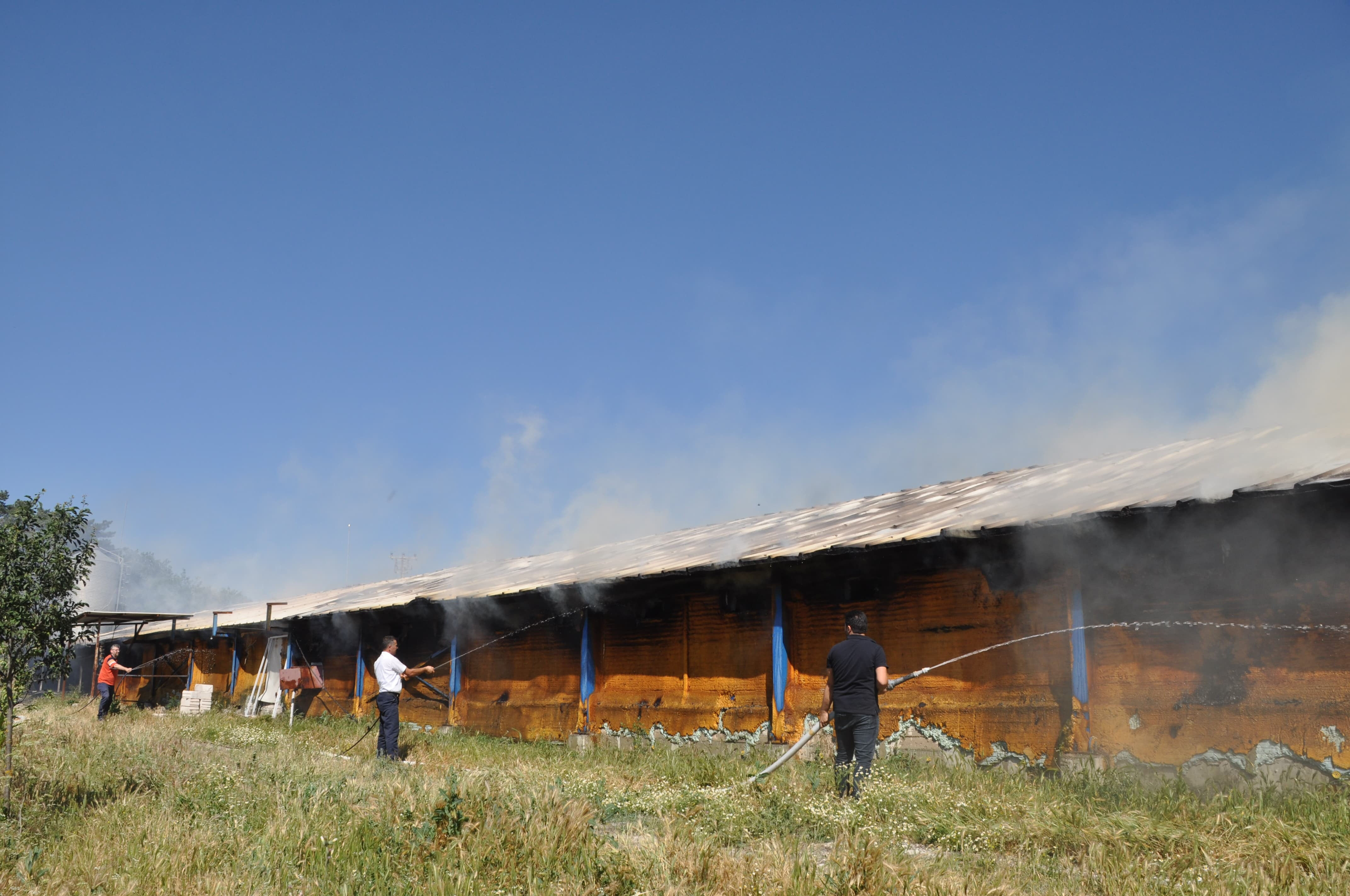 Bolu'da kümes alev alev yandı: 20 bin civciv canlı canlı küle döndü - 1. Resim
