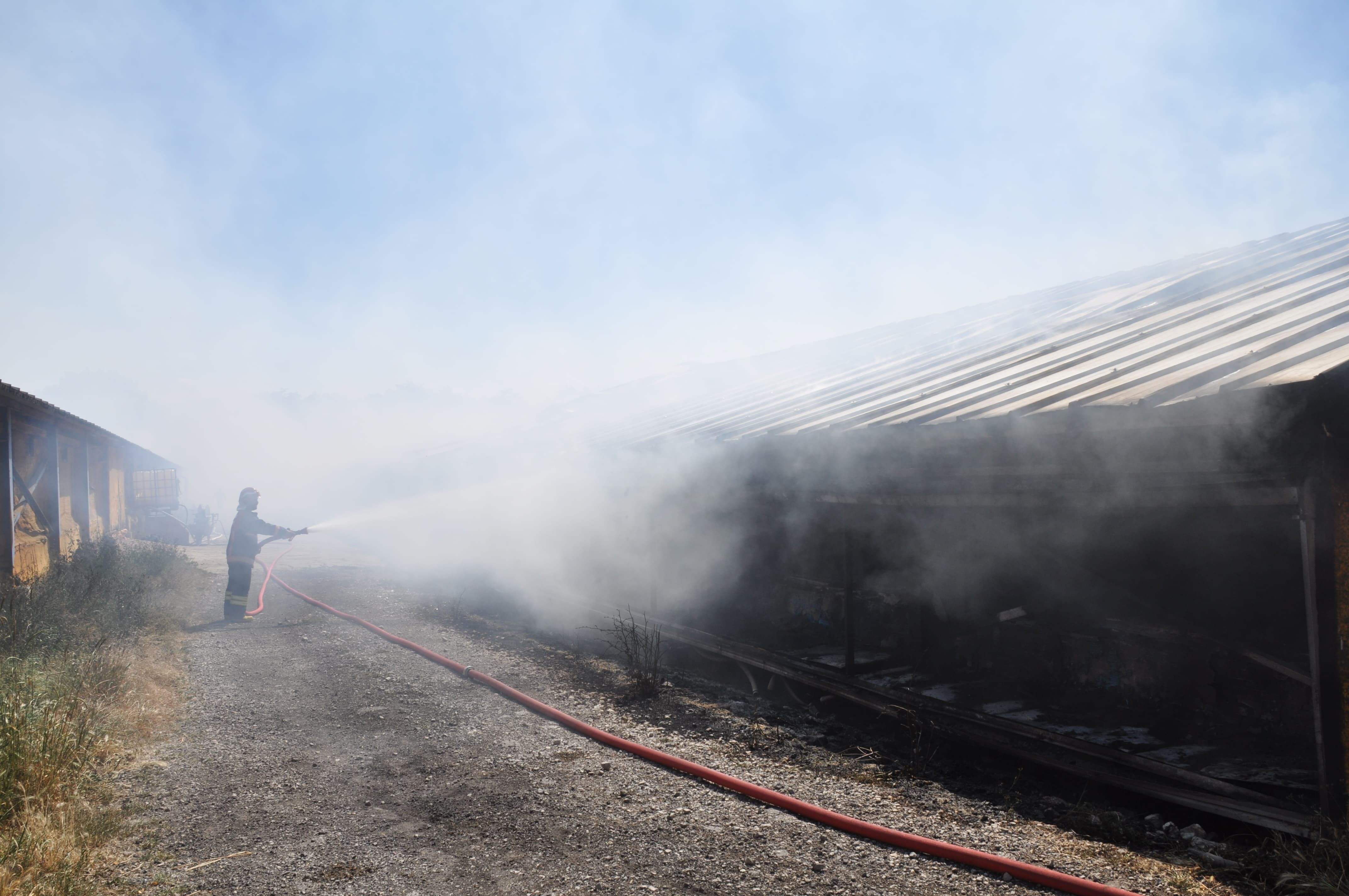Bolu'da kümes alev alev yandı: 20 bin civciv canlı canlı küle döndü - 2. Resim