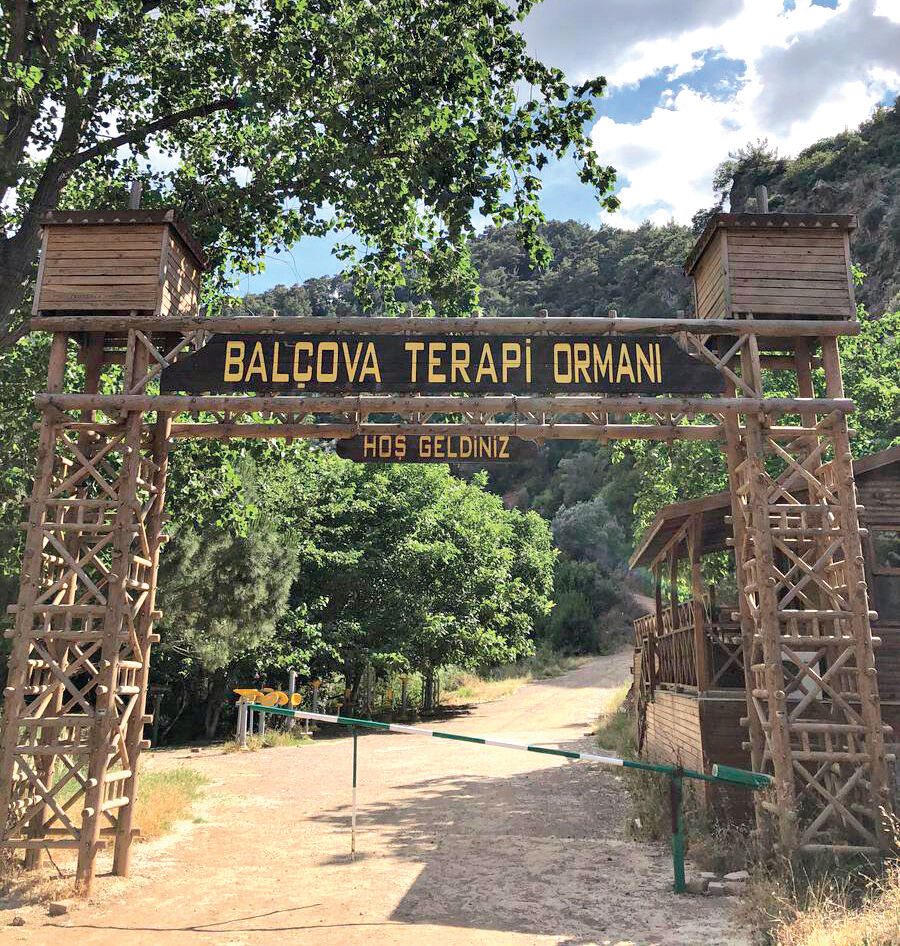 Hayata dokunan üç farklı proje... Kadın, çocuk ve toplum sağlığına iyi gelecek Hayata dokunan üç farklı proje... Kadınlar ustalaşıyor, çocuğa ayıp bitiyor! Terapi ormanları halk sağlığına destek oluyor - 3. Resim