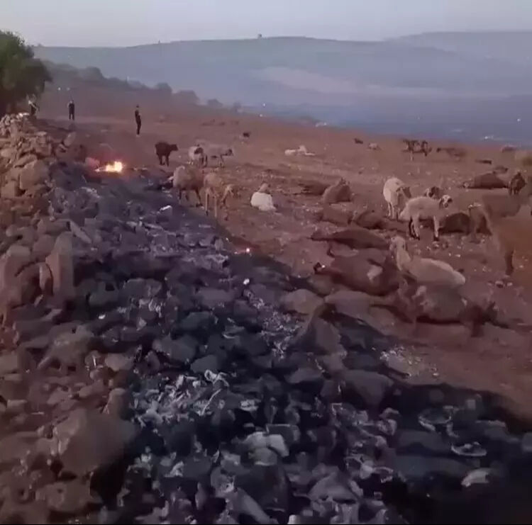 Anız ateşinde 12 hayat söndü! Uzmanlar 'son bulmalı' diyerek uyardı Anız ateşinde 12 hayat söndü! Uzmanlar 'son bulmalı' diyerek uyardı - 2. Resim