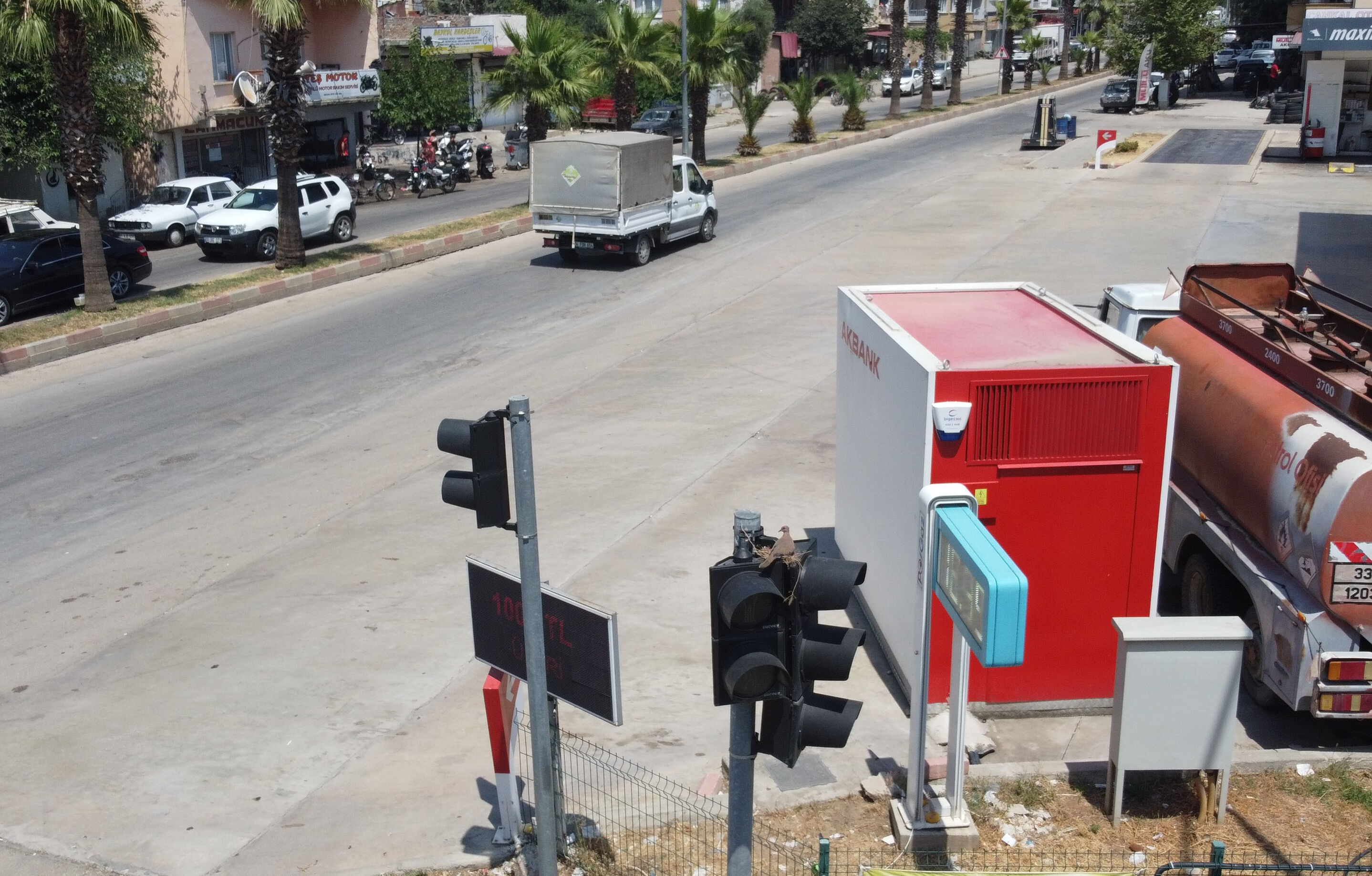 Annelik sıcaklara galip geldi! Adana'da açık alana yuva yapan kumru, yavrusunu 49 derece sıcaktan korudu - 2. Resim