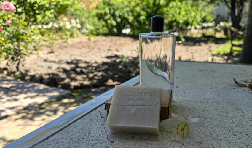 Bu çiçekten elde ediliyor, Tokat’ta üretiliyor! Baş ağrısında anında etkili, sivilceyi de yok ediyor Bu çiçekten elde ediliyor, Tokat’ta üretiliyor! Baş ağrısında anında etkili, sivilceyi de yok ediyor - 3. Resim