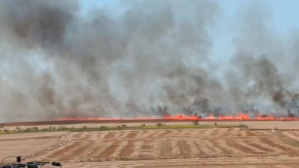 İstanbul-İzmir otobanında korkutan yangın! Alevler son anda söndürüldü - 1. Resim