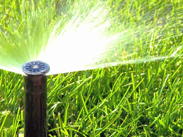 Sulamada yapay zeka dönemi başlıyor! Tarım ve Orman Bakanlığı'ndan yeni adım... Sulamada yapay zeka dönemi başlıyor! Tarım ve Orman Bakanlığı'ndan yeni adım... - 2. Resim