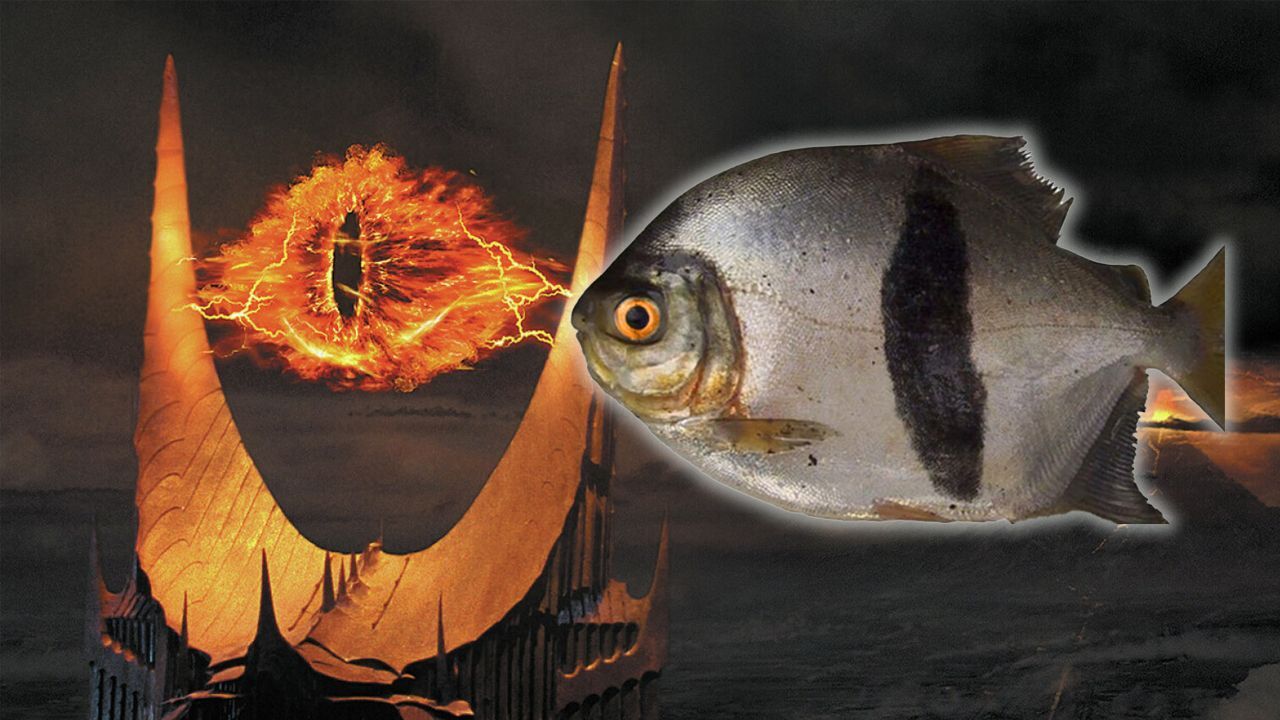 Yeni keşfedilen balığın adı Yüzüklerin Efendisi&#039;nden seçildi: Özellikleri Sauron&#039;a benziyor