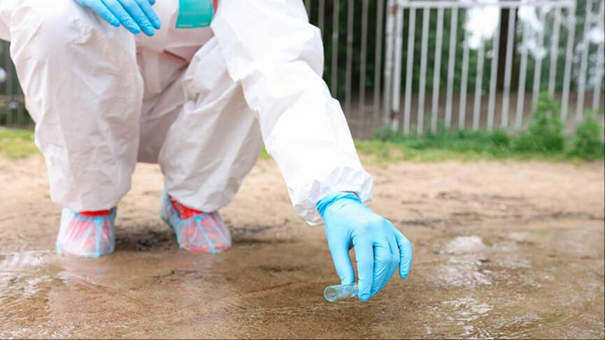 Nijerya'da kolera nedeniyle ölenlerin sayısı 35'e çıktı Nijerya'da kolera nedeniyle ölenlerin sayısı 35'e çıktı - 1. Resim