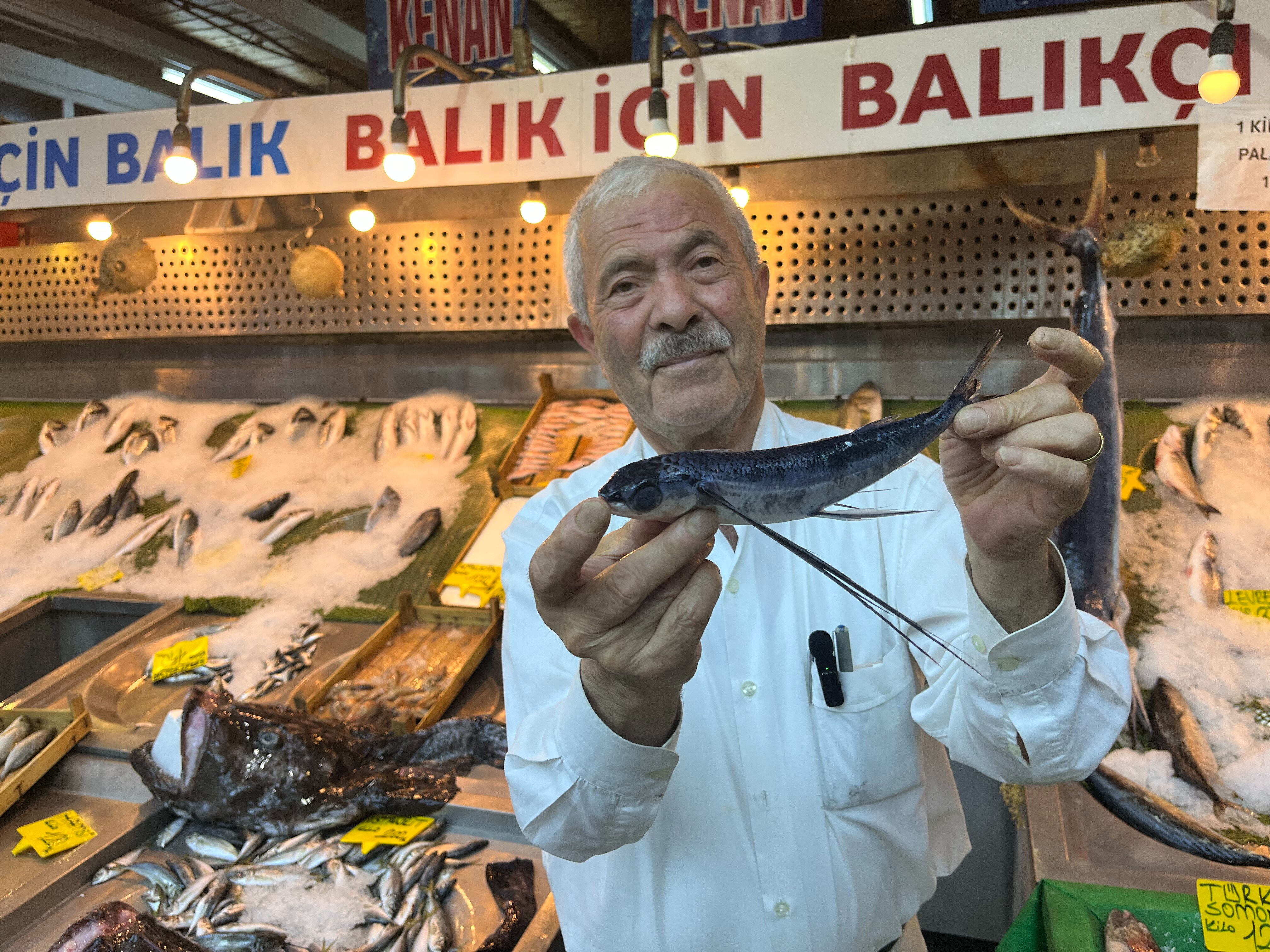 Marmara Denizi'nde yakalanan uçan balık, uzun süre havada kalabiliyor - 2. Resim
