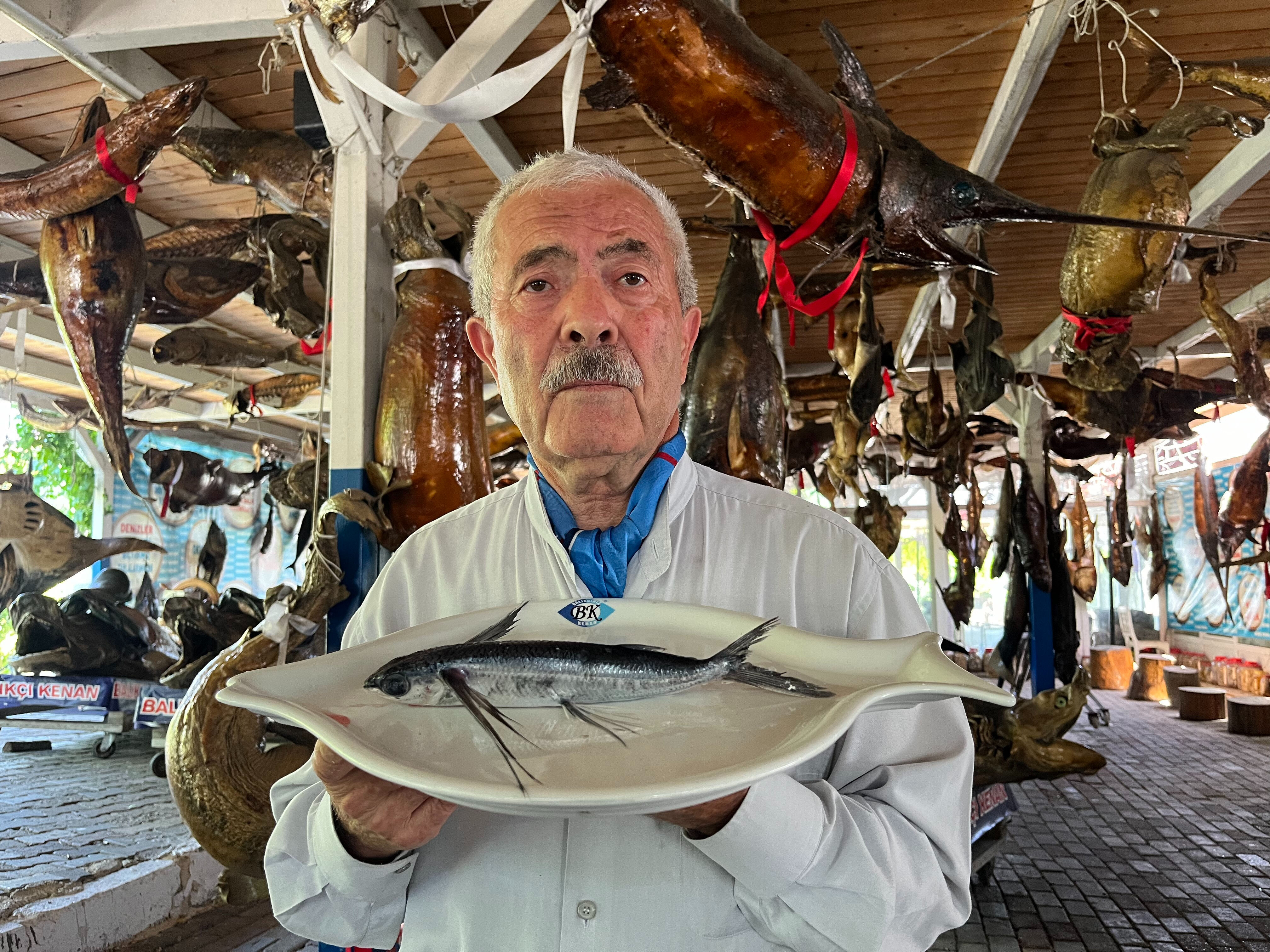 Marmara Denizi'nde yakalanan uçan balık, uzun süre havada kalabiliyor - 3. Resim
