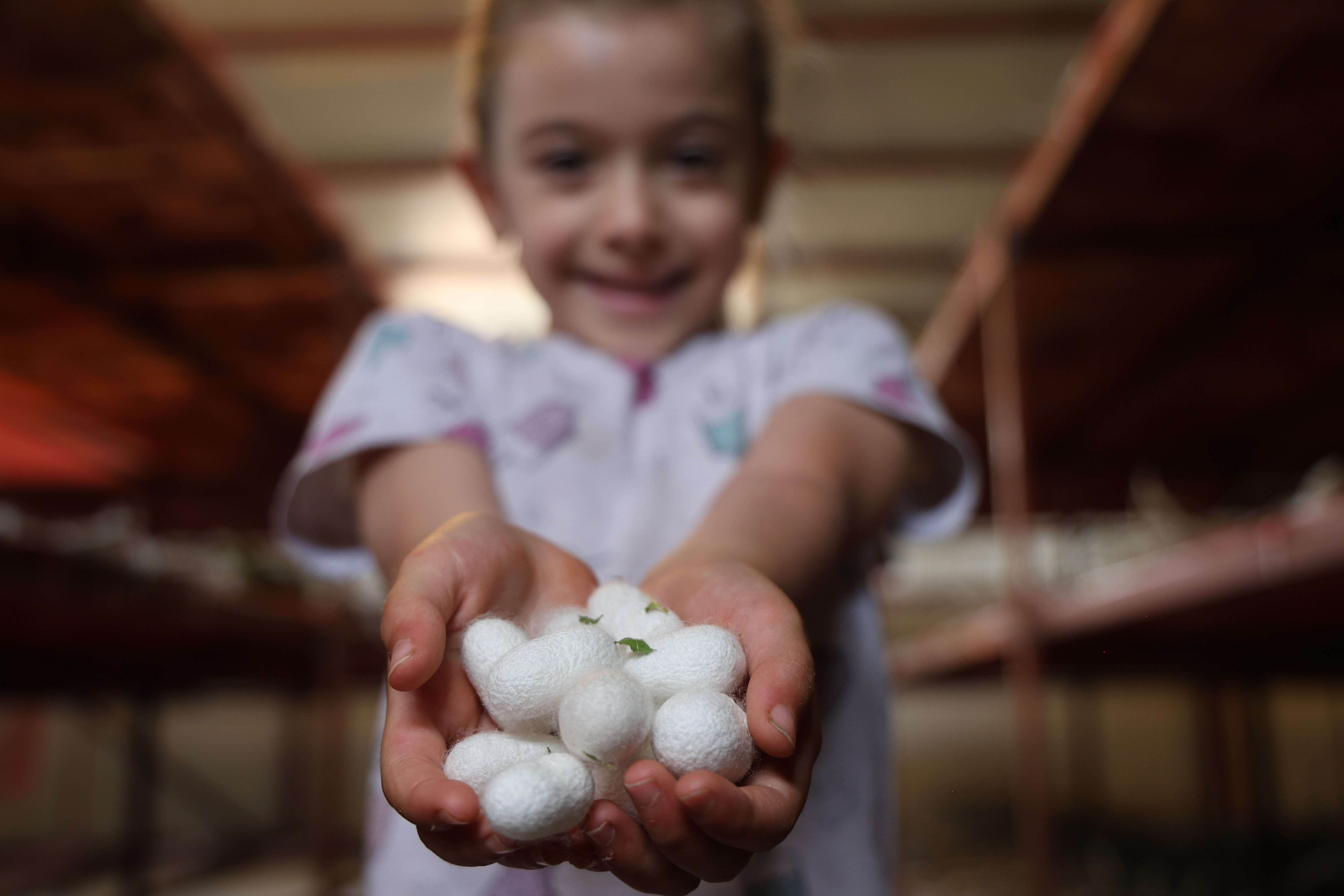 Babaannesinden esinlendi, Elazığ tarihinin en büyük ipek böcekçiliği çiftliğini kurdu Babaannesinden esinlendi, Elazığ tarihinin en büyük ipek böcekçiliği çiftliğini kurdu - 3. Resim